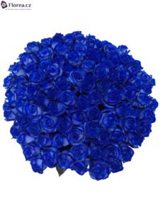100 modrých růží