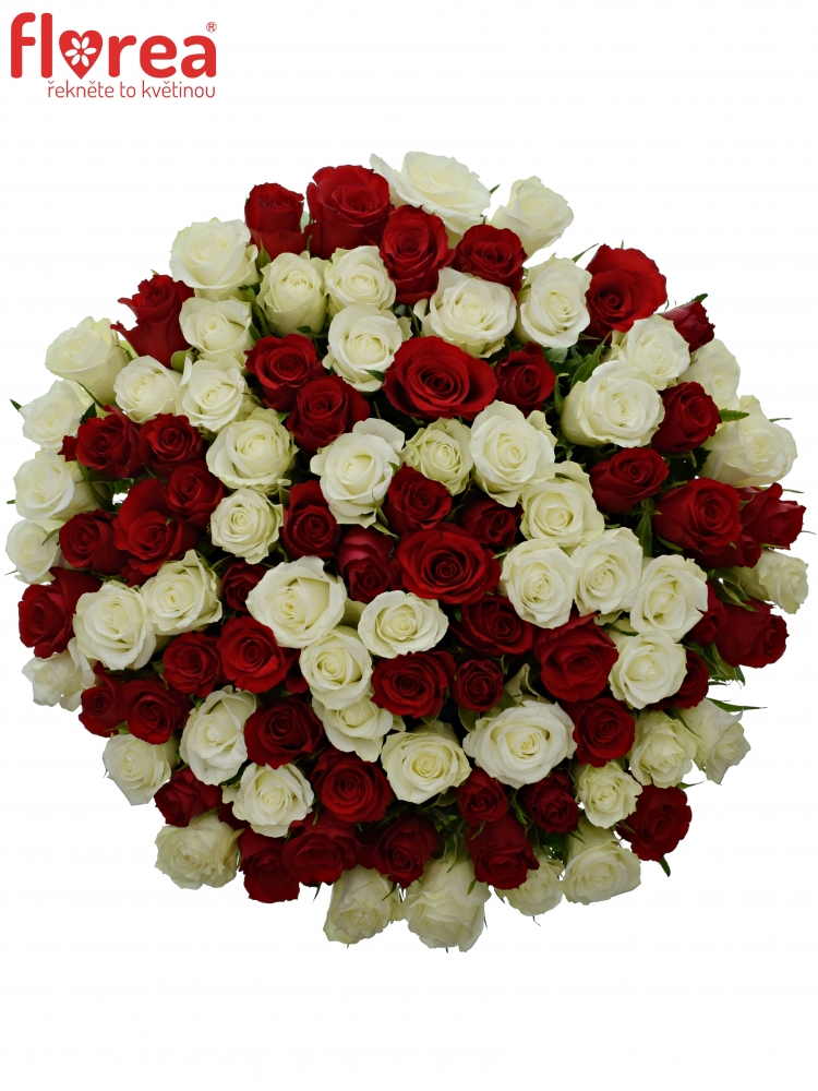 100 míchaných růží - rudé a bílé růže v kytici